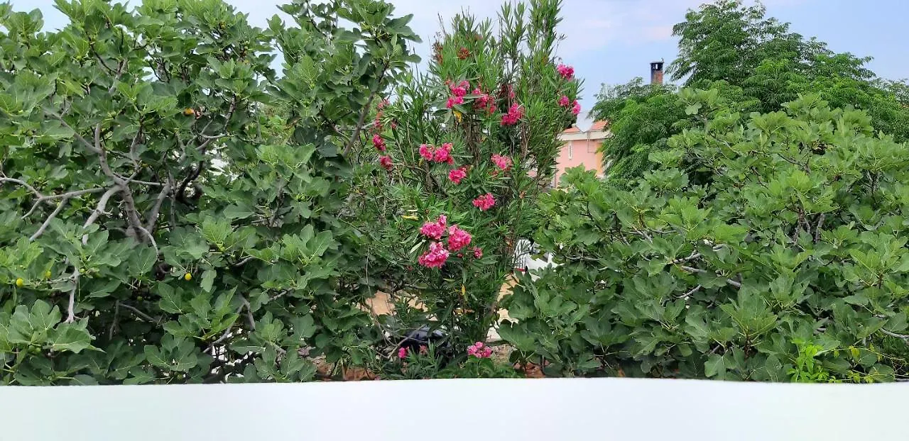 Apartments Max Vir 0*,  Horvátország